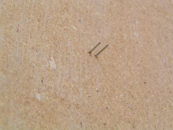 staples on floor